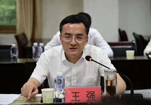 英雄王强个人资料