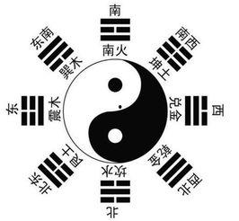 八卦群夫结局是什么,揭秘神秘结局背后的爱恨情仇