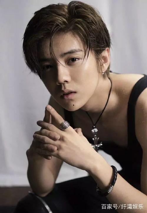 鹿晗明星是哪个,闪耀舞台的青春偶像